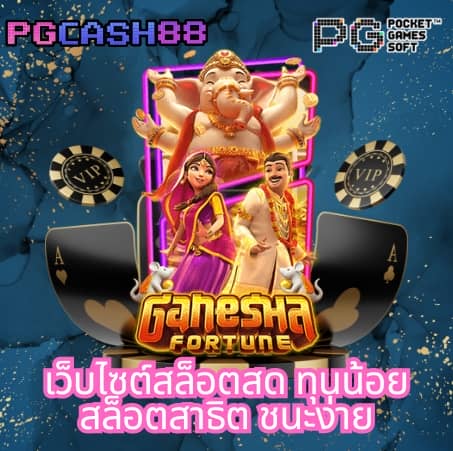 ไทยสกอvip